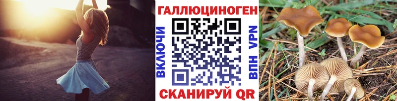 гидра маркетплейс Кашин Псилоцибиновые грибы MAGIC MUSHROOMS